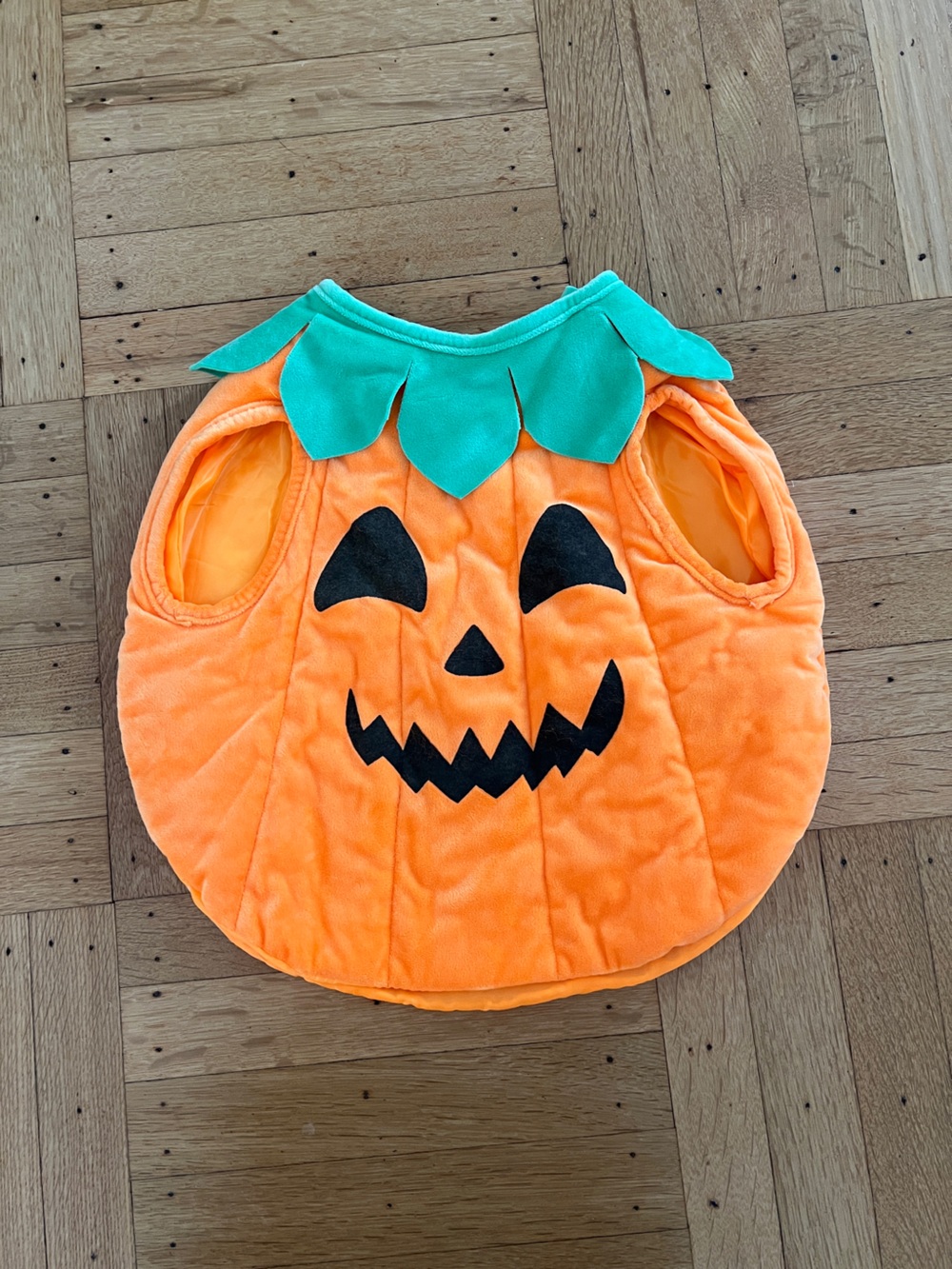 Zara Orange Pumpkin Costume with Green Leaf Collar